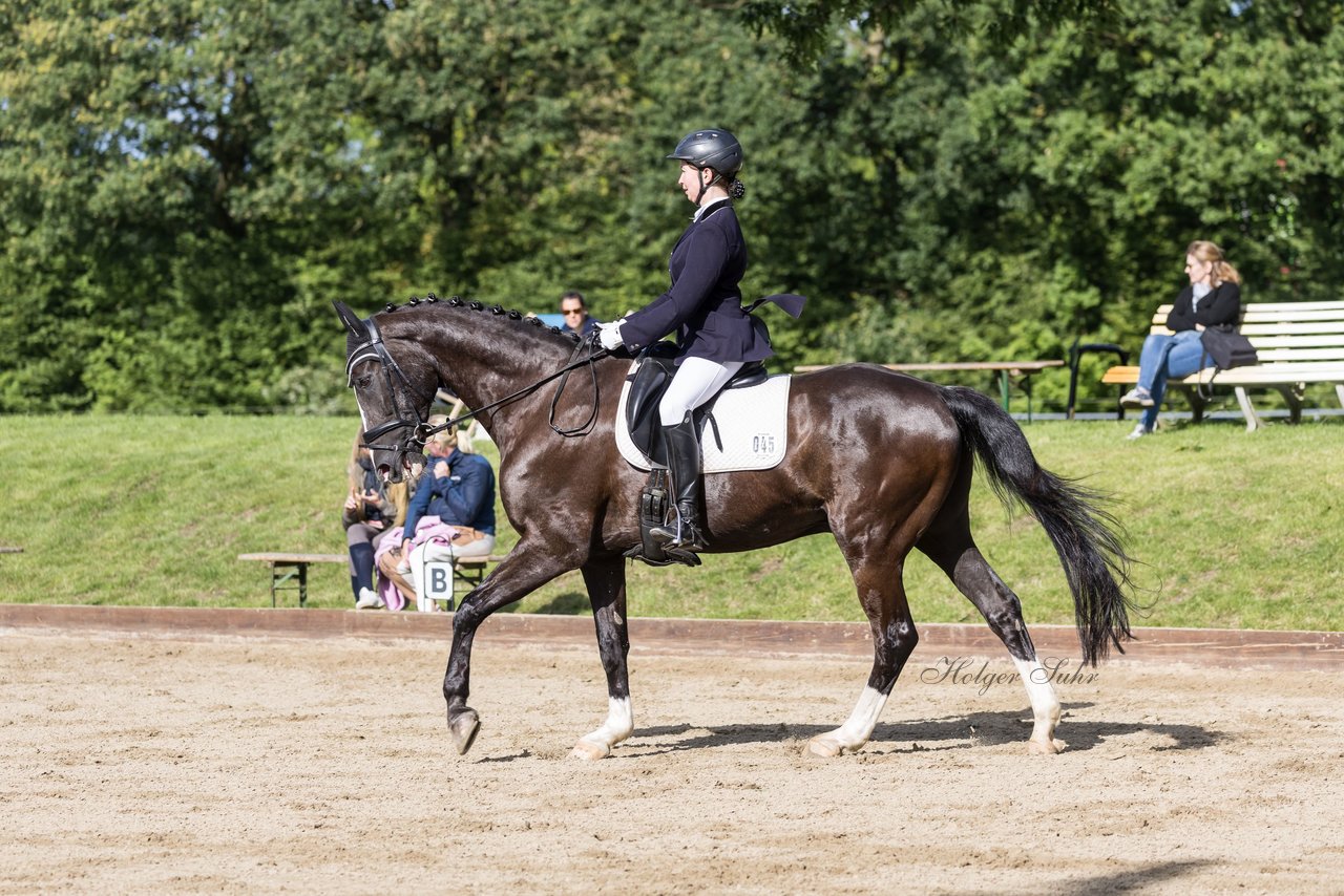 Bild 452 - Pony Akademie Turnier